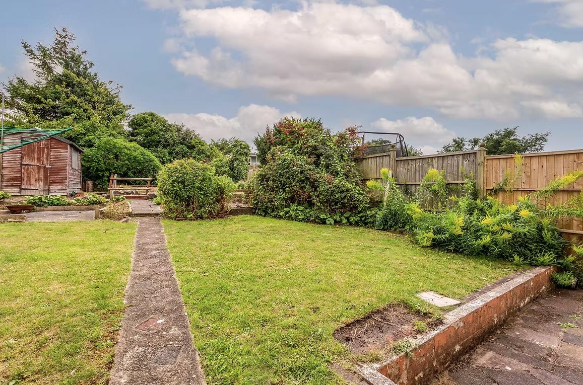 Back Garden